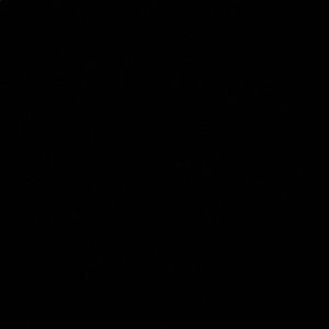 Meet your Posher, Chase